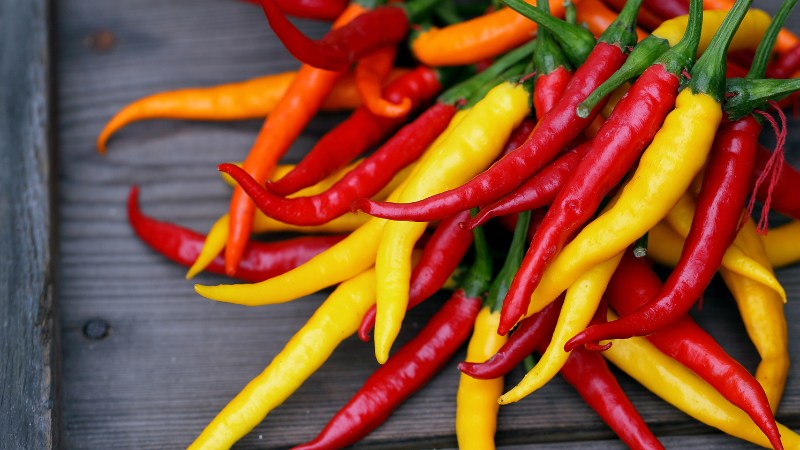 Giá ớt hôm nay 07/08/202 Giá ớt hôm nay 07/08/202