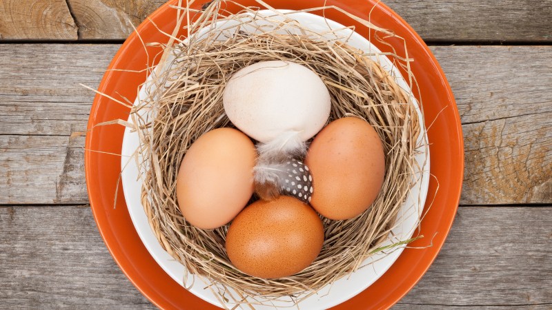 Giá trứng gà hôm nay ngày 09/08