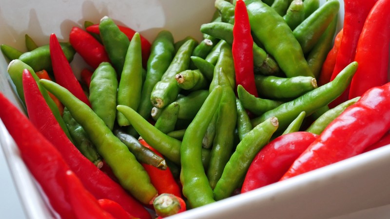 Giá ớt hôm nay 09/08/2024 mới nhất