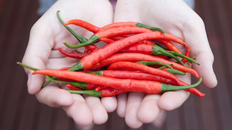 Giá ớt hôm nay 09/08/2024 cập nhật mới nhất