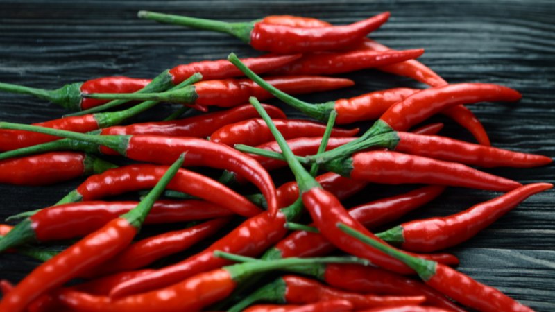 Giá ớt hôm nay 12/08/2024 mới nhất Giá ớt hôm nay 12/08/2024 mới nhất