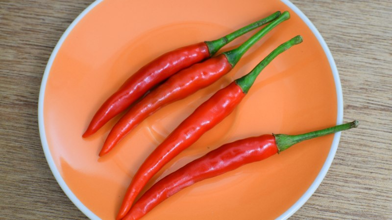 Giá ớt hôm nay 12/08/2024 cập nhật mới nhất Giá ớt hôm nay 12/08/2024 cập nhật mới nhất