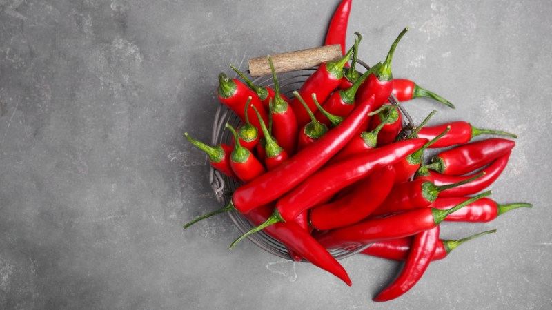 Giá ớt hôm nay 10/08/2024 cập nhật mới nhất