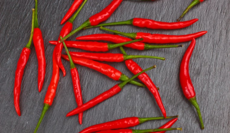 Giá ớt hôm nay 12/08/2024: Giảm 2.000 - 5.000 đồng/kg