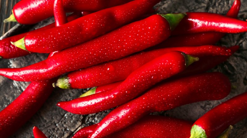 Giá ớt hôm nay 13/08/2024