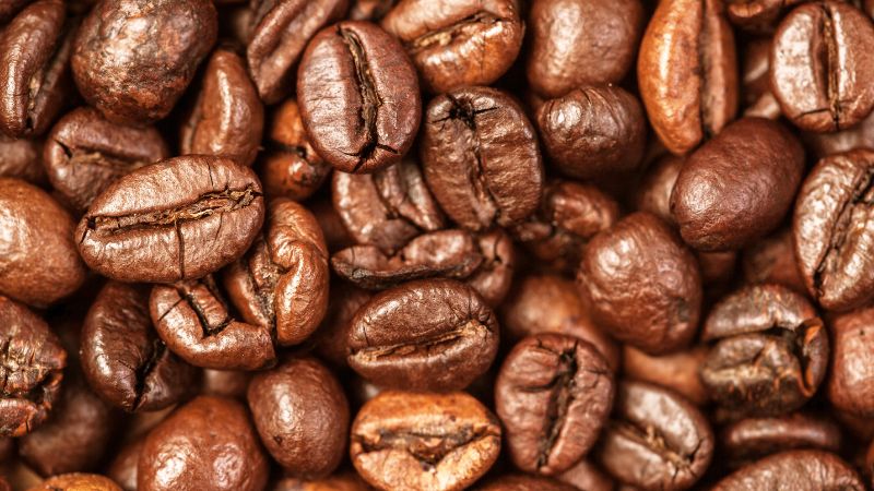 Giá cà phê trong nước hôm nay Giá cà phê trong nước hôm nay