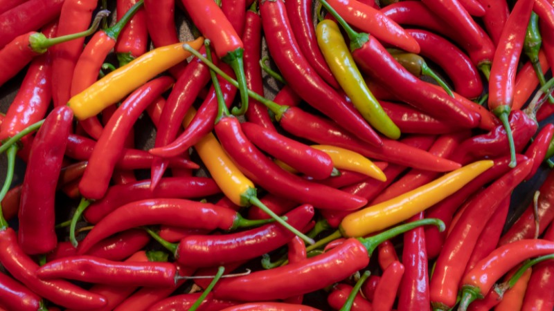 Giá ớt hôm nay 14/08/2024 mới nhất