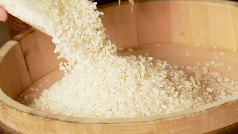 Giá gạo hôm nay 15/8