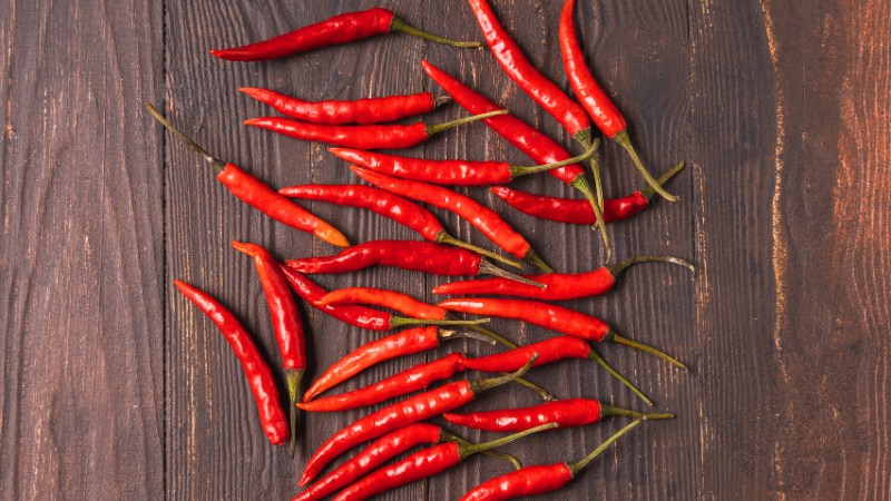 Giá ớt hôm nay 15/08/2024 cập nhật mới nhất