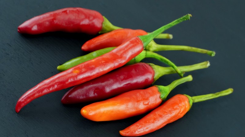 Giá ớt hôm nay 16/08/2024 cập nhật mới nhất