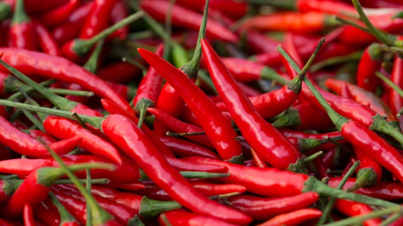 Giá ớt hôm nay 16/08/2024 mới nhất