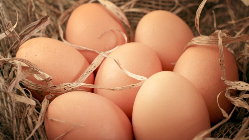 Giá trứng gà hôm nay ngày 17/08 Giá trứng gà hôm nay ngày 17/08