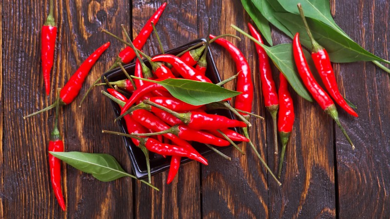 Giá ớt hôm nay 17/08/2024 mới nhất Giá ớt hôm nay 17/08/2024 mới nhất