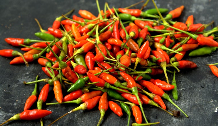 Giá ớt hôm nay 19/08/2024: Ớt chợ tăng 2.000 đồng/kg đầu tuần