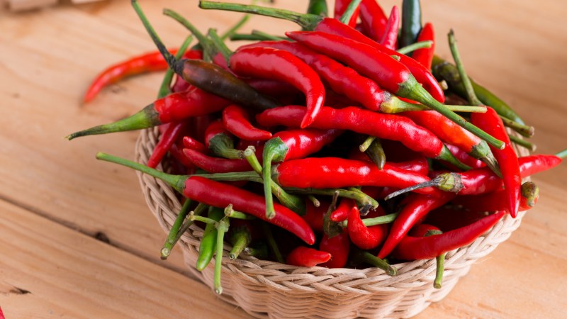 Giá ớt hôm nay 20/08/2024 mới nhất