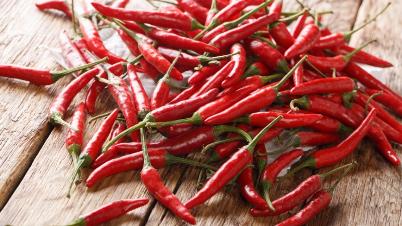 Giá ớt hôm nay 21/08/2024