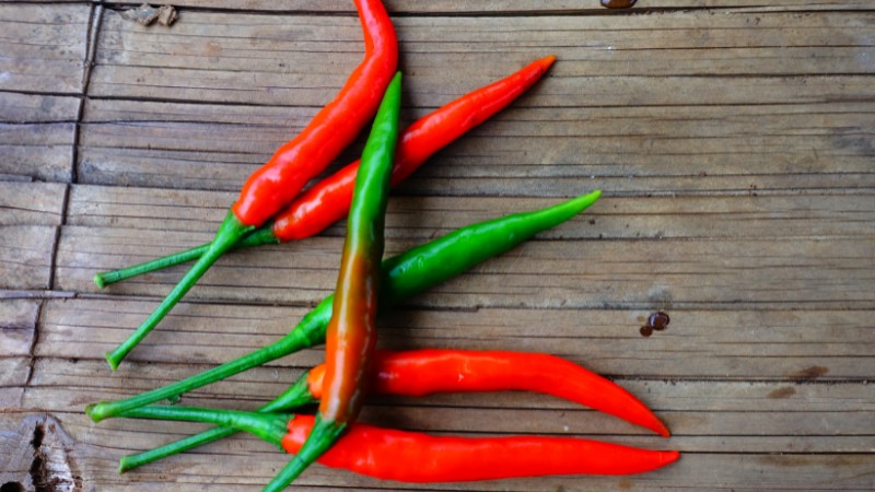 Giá ớt hôm nay 21/08/2024 cập nhật mới nhất