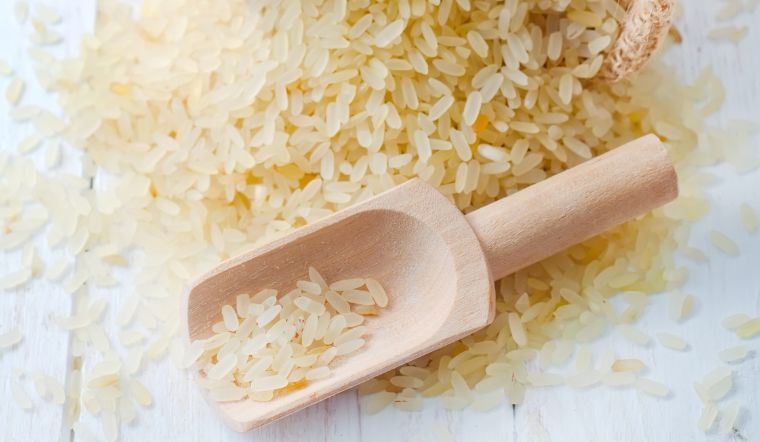 Giá lúa gạo hôm nay 22/8/2024: Lúa OM 380 giảm 200 đồng/kg