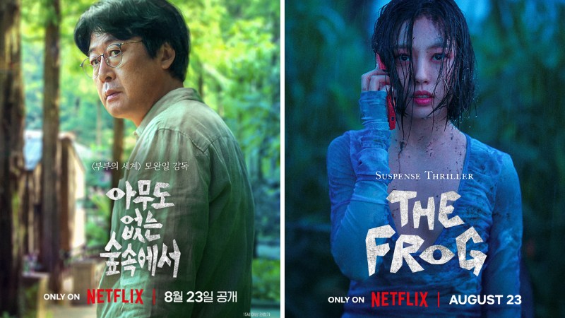 The Frog The Frog