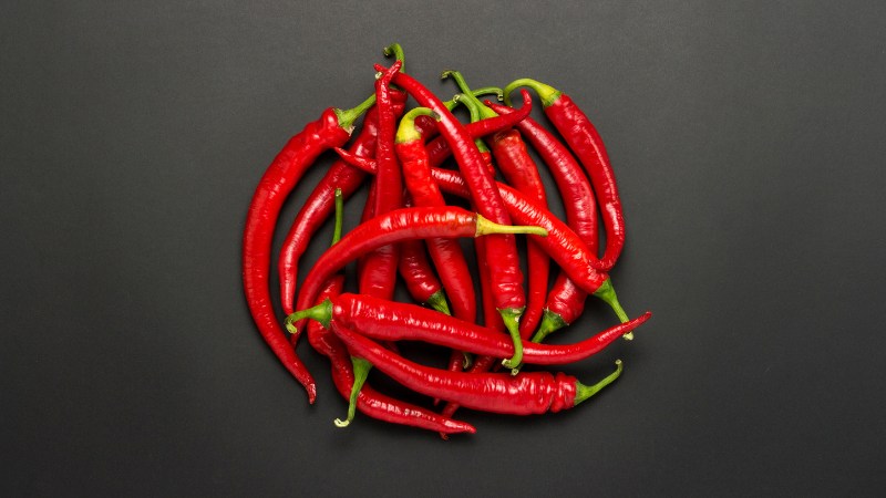 Giá ớt hôm nay 24/08/2024 mới nhất