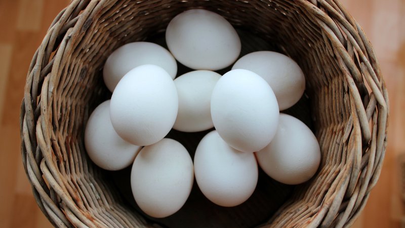 Giá trứng gà hôm nay ngày 27/08 Giá trứng gà hôm nay ngày 27/08