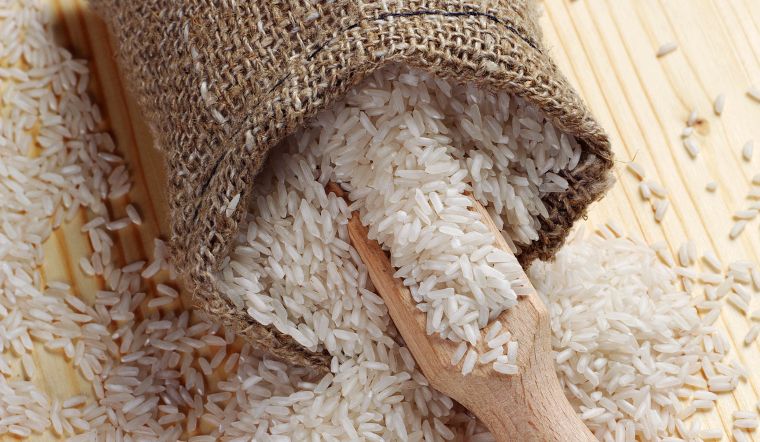 Giá lúa gạo hôm nay 27/8/2024: Điều chỉnh tăng nhẹ