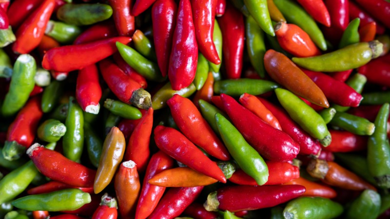 Giá ớt hôm nay 28/08/2024 cập nhật mới nhất