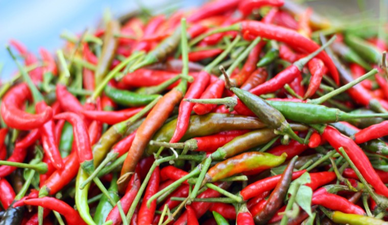 Giá ớt hôm nay 28/08/2024: Tạm yên ắng so với hôm qua