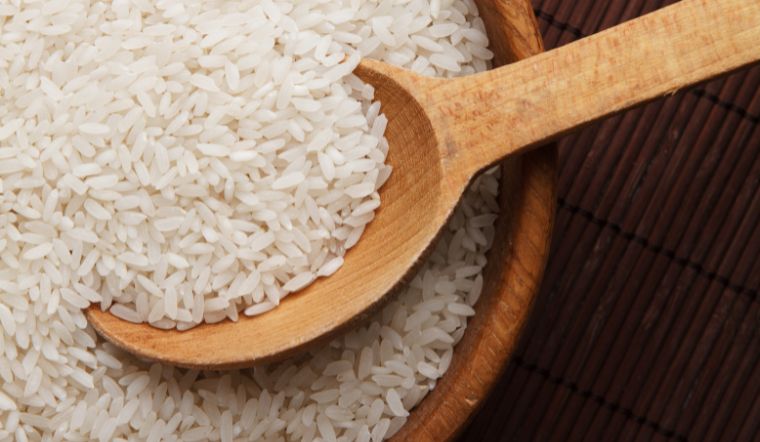 Giá lúa gạo hôm nay 29/8/2024: Giá giảm so với hôm qua