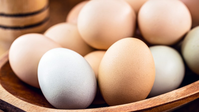 Giá trứng gà hôm nay ngày 31/08 Giá trứng gà hôm nay ngày 31/08