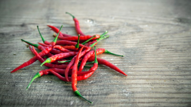 Giá ớt hôm nay 31/08/2024 cập nhật mới nhất