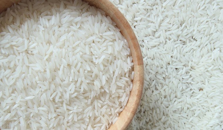 Giá lúa gạo hôm nay 31/8/2024: Không thay đổi vào cuối tuần