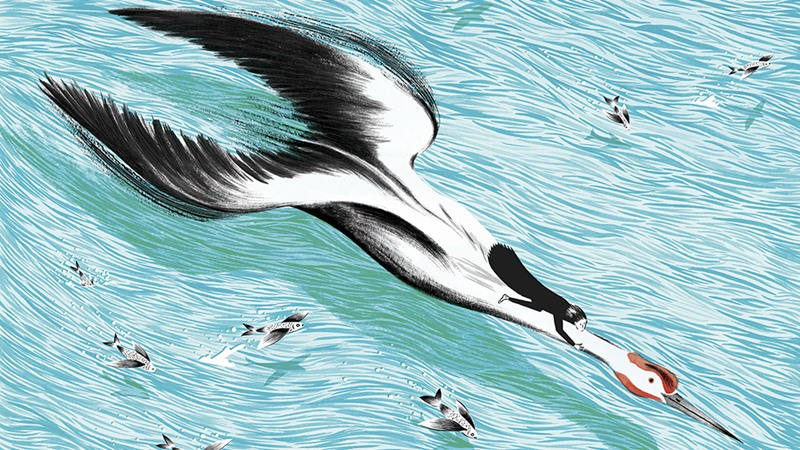 The Crane Wife (Tsuru no Ongaeshi) The Crane Wife (Tsuru no Ongaeshi)