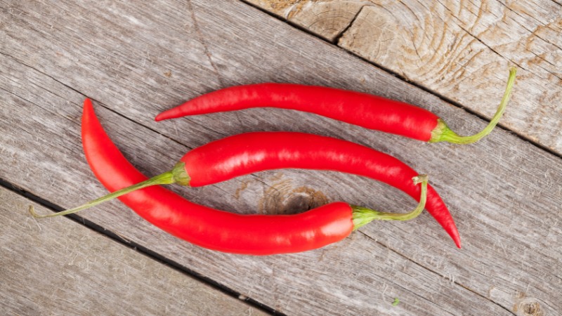 Giá ớt hôm nay 04/09/2024 Giá ớt hôm nay 04/09/2024