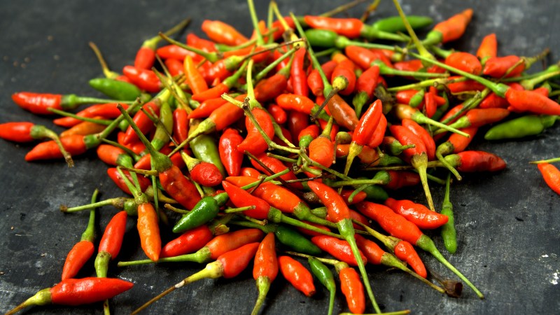 Giá ớt hôm nay 05/09/2024 cập nhật mới nhất