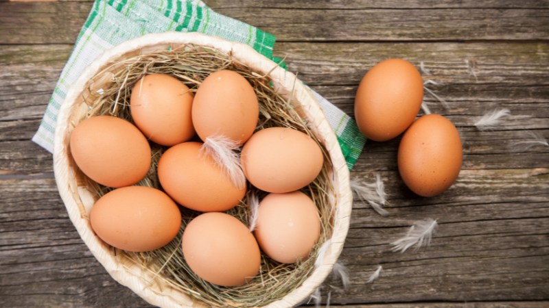 Giá trứng gà hôm nay ngày 07/09 Giá trứng gà hôm nay ngày 07/09