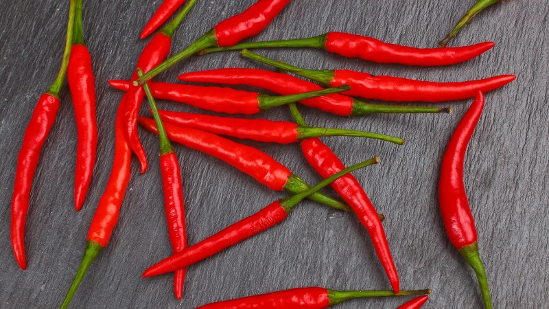 Giá ớt hôm nay 07/09/2024 cập nhật mới nhất Giá ớt hôm nay 07/09/2024 cập nhật mới nhất