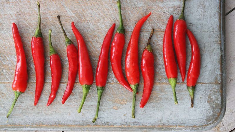 Giá ớt hôm nay 09/09/2024