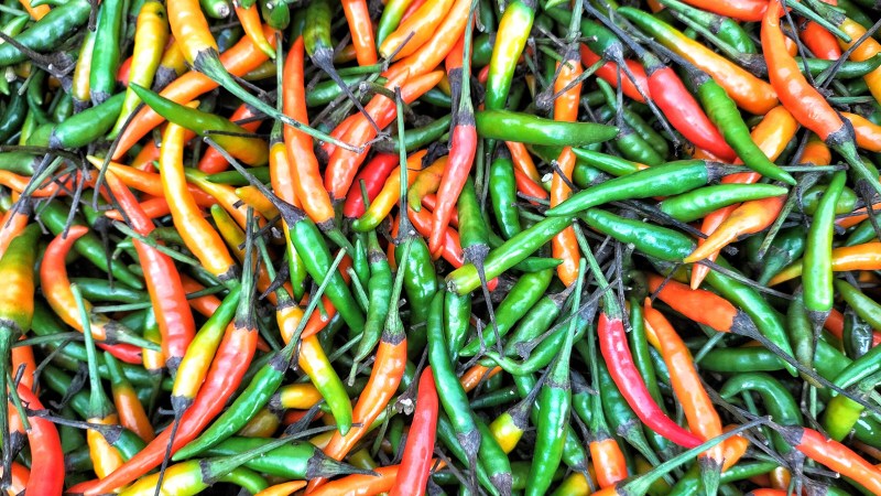 Giá ớt hôm nay 10/09/2024 mới nhất Giá ớt hôm nay 10/09/2024 mới nhất