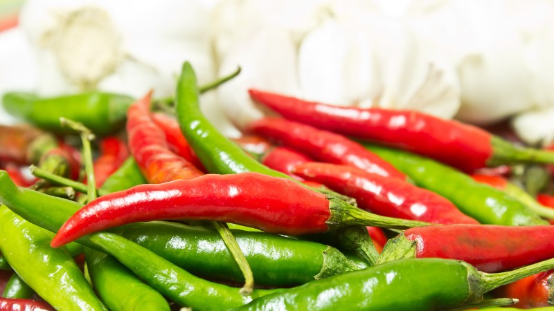 Giá ớt hôm nay 10/09/2024 cập nhật mới nhất Giá ớt hôm nay 10/09/2024 cập nhật mới nhất