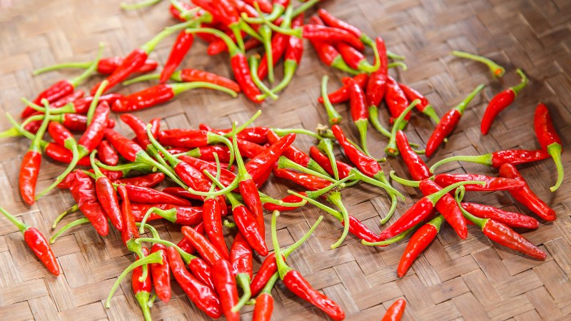 Giá ớt hôm nay 11/09/2024