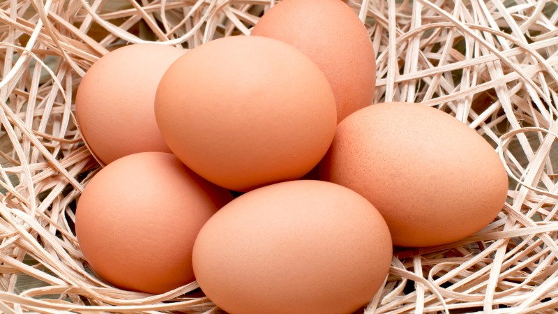 Giá trứng gà hôm nay ngày 12/09