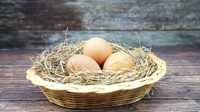 Giá trứng gà hôm nay ngày 13/09