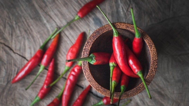 Giá ớt hôm nay 13/09/2024 mới nhất