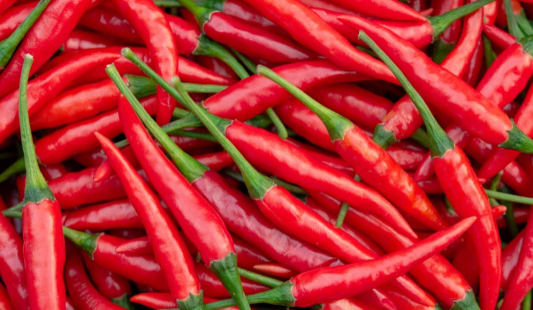 Giá ớt hôm nay 13/09/2024: Thêm 1 ngày đi ngang trên cả nước