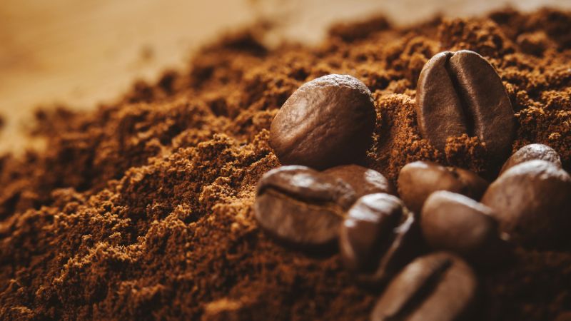 Giá cà phê trong nước hôm nay