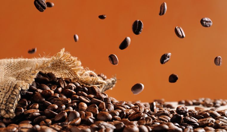 Giá cà phê hôm nay 13/09/2024: Tăng 500 - 600 đồng/kg