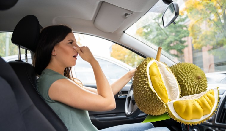 4 cách khử mùi sầu riêng trên xe hơi nhanh nhất