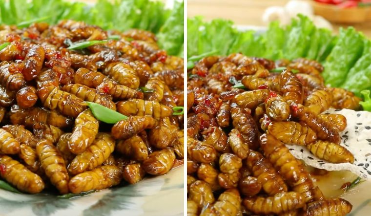 Hấp dẫn với món nhộng chiên sốt cay ngon, đậm đà