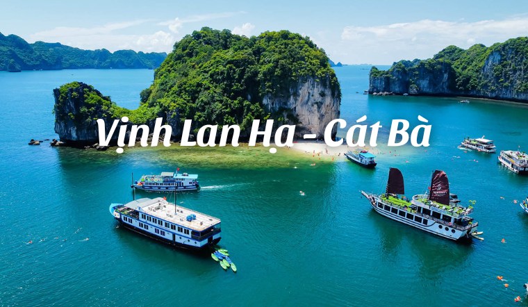 Cẩm nang du lịch vịnh Lan Hạ Cát Bà từ A - Z có người mới